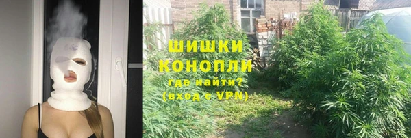 МДПВ Алзамай