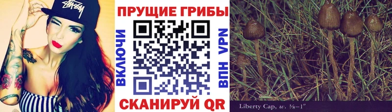 mega купить наркоту Боготол Псилоцибиновые грибы мухоморы
